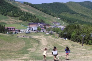 IMG_3763